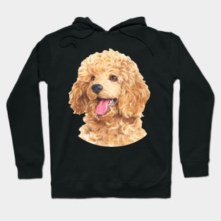 Apricot Toy Poodle Watercolor Art Hoodie